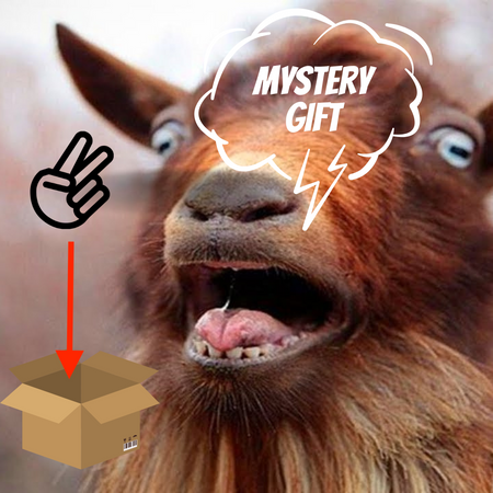 Mystery Item